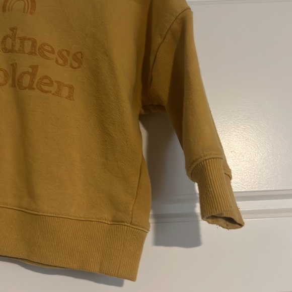 $15 ADD ON Cotton on Kids Hoodie kindness is golden toddler sweatshirt 2T band - Picture 2 of 3